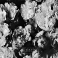 That Sky、Noise Beats - Daybreak (Original Mix)