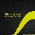 Gingaz - Into The Night (Original Mix)
