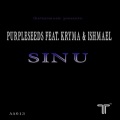 Sinu (Original Mix)