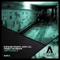 Sash Liq、Freddy Hetzinger、Dopamin Synaps - Triptychon (Original Mix)