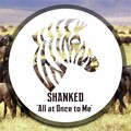 Shank3d - All At Once To Me (Original Mix)