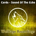 Carda、Deleted Tracks - Sound Of The Echo (Original Mix)