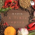 Radik - A Little Spicy (Original Mix)