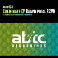 R2VN - Culminate