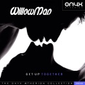 WillowMan - Bye (Original Mix)