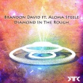 Diamond In The Rough (Original Mix)