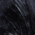 Gates - Dust of Absence