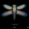 Igans - Y-Scar (Original Mix)
