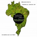 Bruno Costa - Flowers