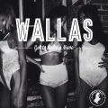 Wallas - Got To Make A Move (Original Mix)