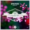 Serge:Ok - Emotion (Original Mix)