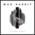 Ayhan Akca - Mad Rabbit (Original Mix)