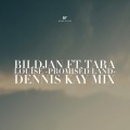 Tara Louise、Bildjan - Promised Land (Dennis Kay Remix)