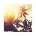 Marcello V.O.R、Flow & Zeo - Come Back (Original Mix)