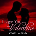 Cdm love birds、Alexander - I Love It When We Do