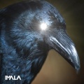 Ale Pulga、Astercult - Orient (Original Mix)