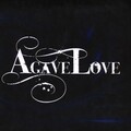Agave Love - Enlightened