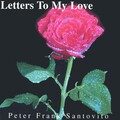 Peter Frank Santovito - We Don't Live Together Anymore(santovito-linsl