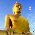MC陈天浩、安雨天 - 佛说