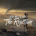 The Reaction