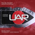 Pulse Plant - Uncertain Space (Original Mix)