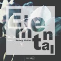 Ronny Muller - Elemental (Original Mix)