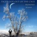 Juan MP - Tiger Got Out Of The Cage (Kachu MX Remix)