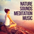 Sounds Of Nature - River Sounds: Winds Accross a Stream