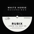rubix - I Know You Want Me (Original Mix)