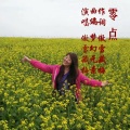 傲雪藏梅 - 零点