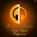 Night Flight / Playground
