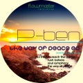 P-Ben - The Way of Peace (Original Mix)