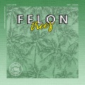 felon - Annabel