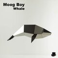 Moog Boy - Cataclysm