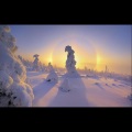 Falken - December Song