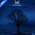 Dj Silverado - Progressive Rehab (Original Mix)