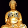 撩人苏柒 - 佛说