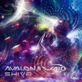 Avalon、Waio - Shiva