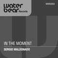 Sergio Maldonado - In The Moment (Original Mix)
