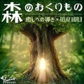 RELAX WORLD - 妖精の森 (妖精的森林)