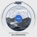 Sr. Miyagi、Franky carbon-e - Artic Winds (Selma Remix)