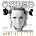 Maida - Wanting of You