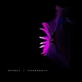 No One - Cling Clangs and Boom Booms (Original Mix)