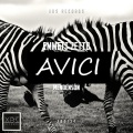 Avici (Original Mix)