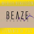 Wesley Verstegen、Mr Black & Blue - Majestic (Original Mix)