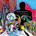 Shawn - Begging (Sorry)