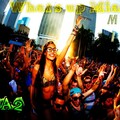 Whats Up Miami