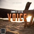 Voice (Original Mix)