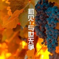 MC初见 - 与世无争 (Remix)