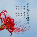 亚郎 - 彼岸花开为君倾